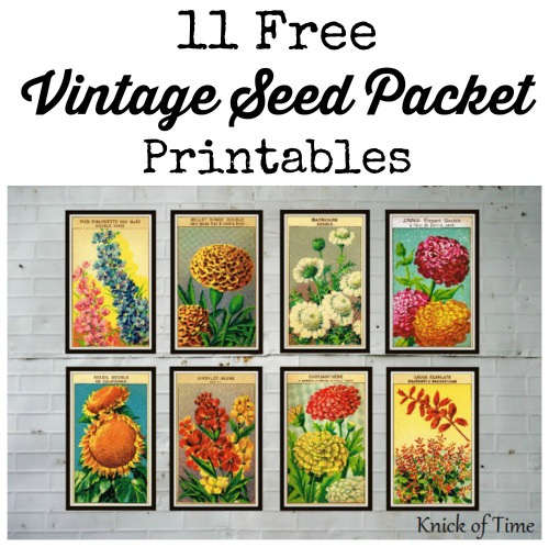 Seed Packet Printables Shop Talk Knick Of Time