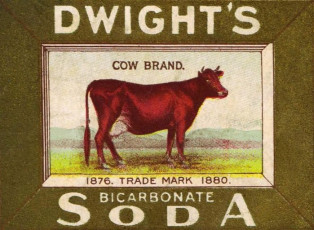 Antique Advertisement Cow Illustration Dwight's Soda via Knick of Time