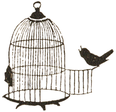 bird cage silhouette 001 copy