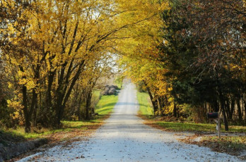 country-road-in-Autumn-without-watermark