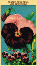 seed packet labels 001 (2)