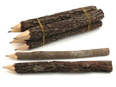 Wooden twig pencils