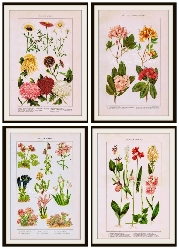 Free nature flower printables from Knick of Time - KnickofTime.net