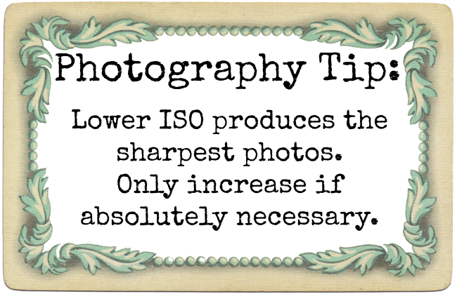 Photography Tip ISO