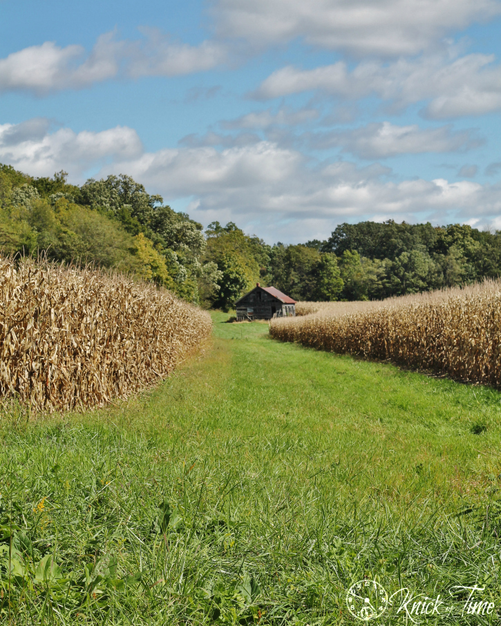 Fine Art Photography Abandoned Cabin