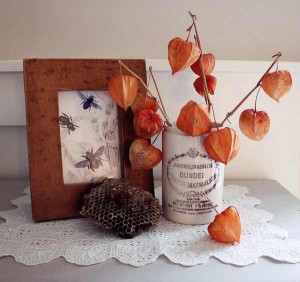 fall autumn home decor