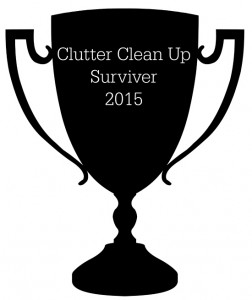 Clutter Cleanup Award
