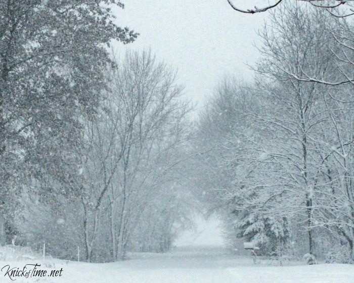 winter scenery country road