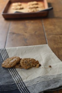 chocolate chip cookie photo
