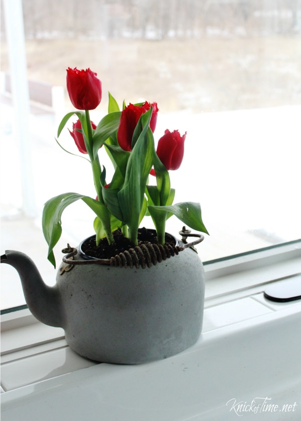 rusty vintage coffee kettle with red tulips - www.knickoftime.net