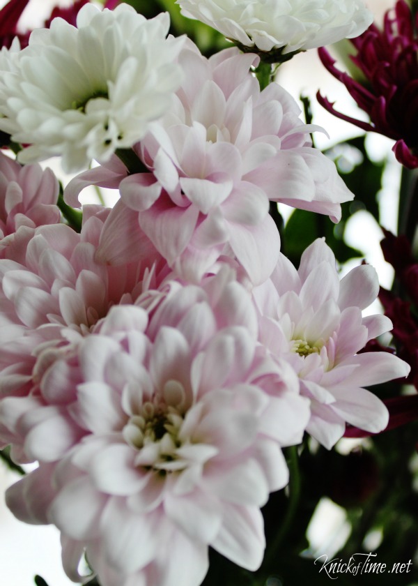 spring flowers - www.knickoftime.net