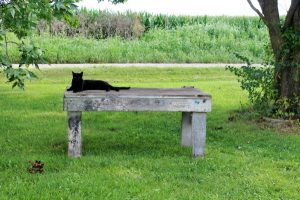 antique work table with potential