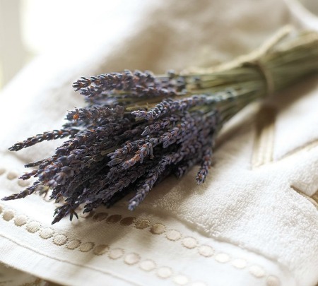 dried lavender bunches