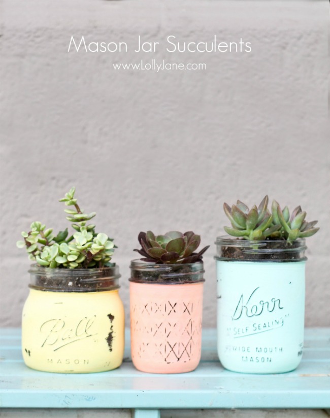 Paint Mason Jars for Succulents