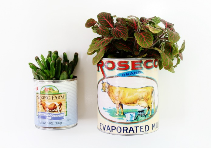 Easy DIY Magnetic Farmhouse Style Tin Can Planters | www.knickoftime.net
