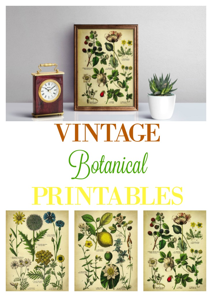 High Resolution Free Printables High Resolution Free Printables