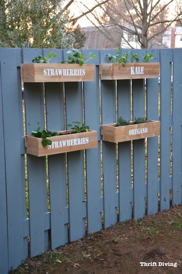 How to Make a Hanging Fence Garden