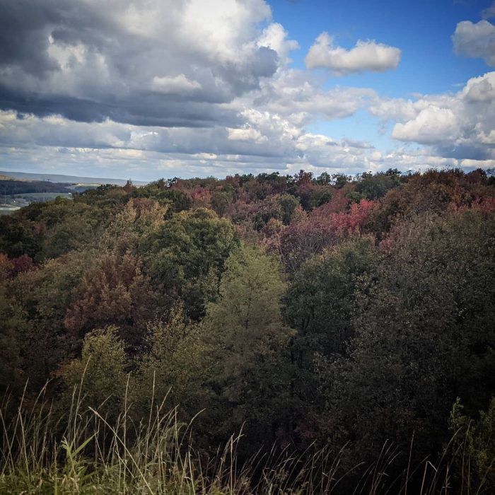 Fall foliage in West Virginia 